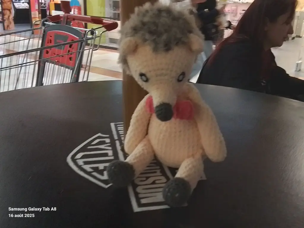 Mr Hérisson tout doux